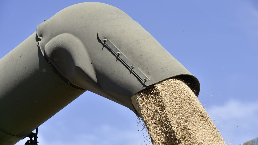 A part pour le tourteau, les prix continuent de baisser en France.