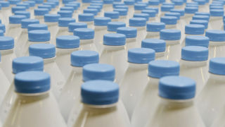 En février 2023, la collecte de lait de vache est 1,2 % inférieure à celle de février 2022. En février 2023, la collecte de lait de vache est 1,2 % inférieure à celle de février 2022.