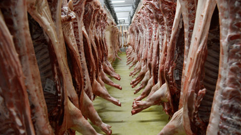 En 2022, la France a exporté 140 000 tonnes de porc en Chine, pour une valeur de 326 millions d'euros. En 2022, la France a exporté 140 000 tonnes de porc en Chine, pour une valeur de 326 millions d'euros.