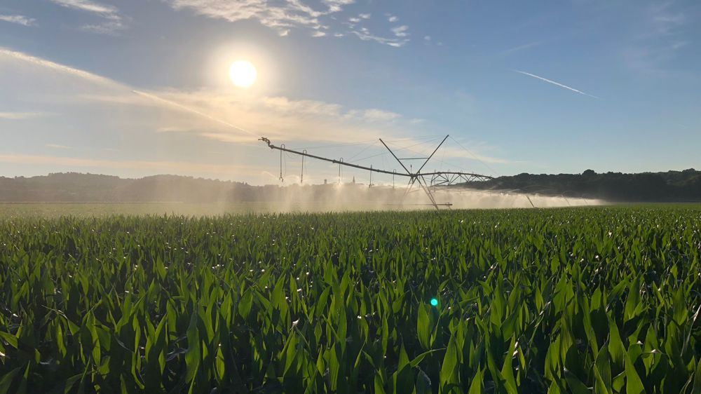« Maintenir le rendement avec 15 % d’économie d’eau »
