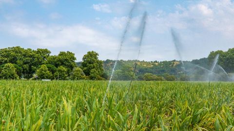 Le préfet des Pyrénées-Orientales met en garde contre de nouvelles restrictions d'eau. Le préfet des Pyrénées-Orientales met en garde contre de nouvelles restrictions d'eau.