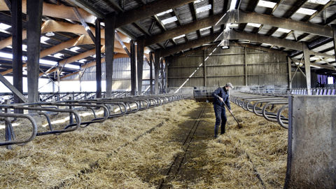 Le Smic est désormais fixé à 11,52 euros brut par heure travaillée.