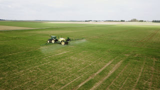 Dans une décision de justice rendue le 3 mai 2023, le Conseil d’État estime qu'« aucune dérogation n’est [...] possible si la Commission européenne a formellement interdit un pesticide ».