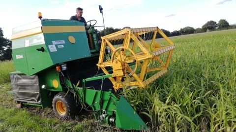 Lors des essais du programme Recital, la récolte des Cive a été réalisée avec une petite ensileuse.