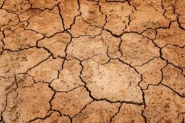 Le réchauffement climatique met l'agriculture au défi partout dans le monde. Le réchauffement climatique met l'agriculture au défi partout dans le monde.