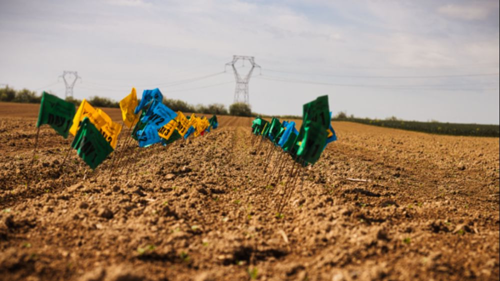 Essais agronomiques : comparaisons des systèmes de Precision Planting et Monosem