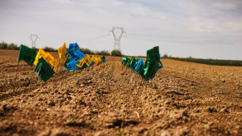 Essais agronomiques : comparaisons des systèmes de Precision Planting et Monosem Essais agronomiques : comparaisons des systèmes de Precision Planting et Monosem