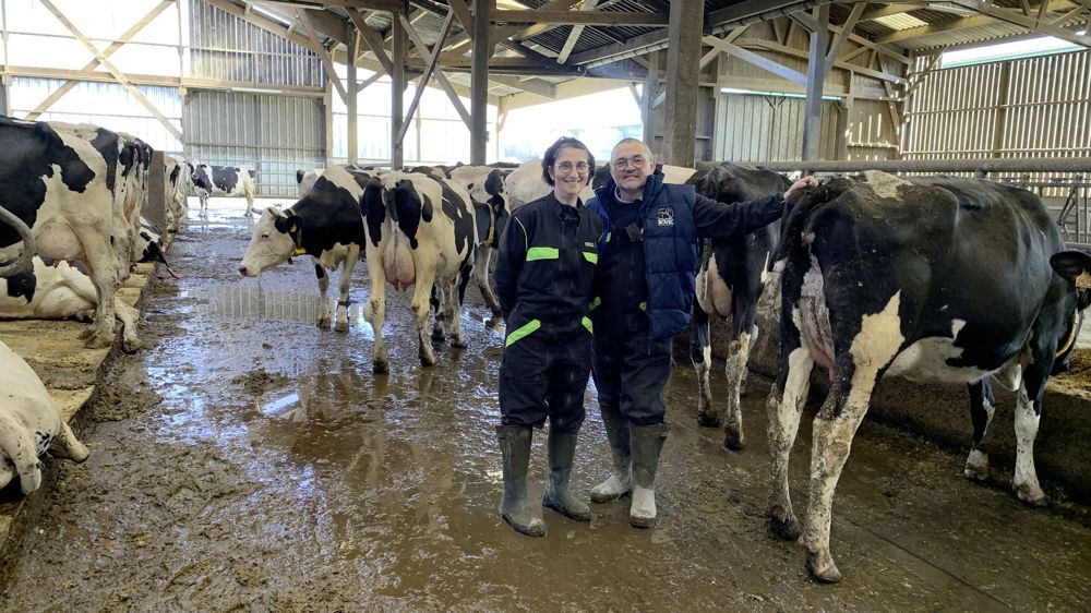 Fusion. Annick et Christophe Benoist gèrent leur deuxième regroupement de troupeaux. Face aux difficultés rencontrées la première fois, ils veulent témoigner, au travers de cet article, de l’importance d’une préparation minutieuse. Fusion. Annick et Christophe Benoist gèrent leur deuxième regroupement de troupeaux. Face aux difficultés rencontrées la première fois, ils veulent témoigner, au travers de cet article, de l’importance d’une préparation minutieuse.