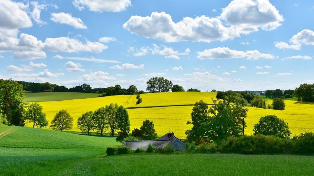 Le soleil s'imposera ce week-end de l'Ascension sur une large partie de la France. Le soleil s'imposera ce week-end de l'Ascension sur une large partie de la France.