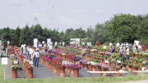 Le jardin d’expertise de la station Astredhor Aura reste un moment privilégié pour voir le comportement variétal des nouveautés et thématiques, en situation. Photo d’archive.