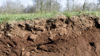 L'Académie d'agriculture souhaite que la conservation de la santé des sols soit déclaré d"« intérêt général ». L'Académie d'agriculture souhaite que la conservation de la santé des sols soit déclaré d"« intérêt général ».