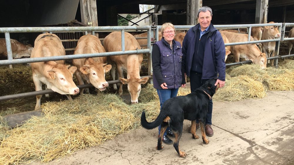 Philippe et Pascale Dufour élèvent 250 têtes, aidés dans la conduite par Rumba, chienne de troupeau beauceronne depuis trois ans sur l’exploitation. Philippe et Pascale Dufour élèvent 250 têtes, aidés dans la conduite par Rumba, chienne de troupeau beauceronne depuis trois ans sur l’exploitation.