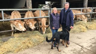 Philippe et Pascale Dufour élèvent 250 têtes, aidés dans la conduite par Rumba, chienne de troupeau beauceronne depuis trois ans sur l’exploitation. Philippe et Pascale Dufour élèvent 250 têtes, aidés dans la conduite par Rumba, chienne de troupeau beauceronne depuis trois ans sur l’exploitation.