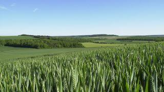 Au 22 mai 2023, 71 % des blés tendres avaient atteint le stade épiaison, selon FranceAgriMer. Au 22 mai 2023, 71 % des blés tendres avaient atteint le stade épiaison, selon FranceAgriMer.