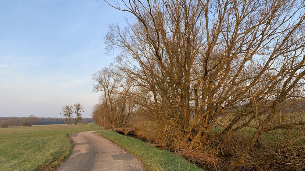 Se basant sur plus de 1,4 million de plants, l'Afac-Agroforesteries a constitué des références détaillées et actualisées sur les techniques et les coûts des chantiers de plantation de haies en France. Se basant sur plus de 1,4 million de plants, l'Afac-Agroforesteries a constitué des références détaillées et actualisées sur les techniques et les coûts des chantiers de plantation de haies en France.
