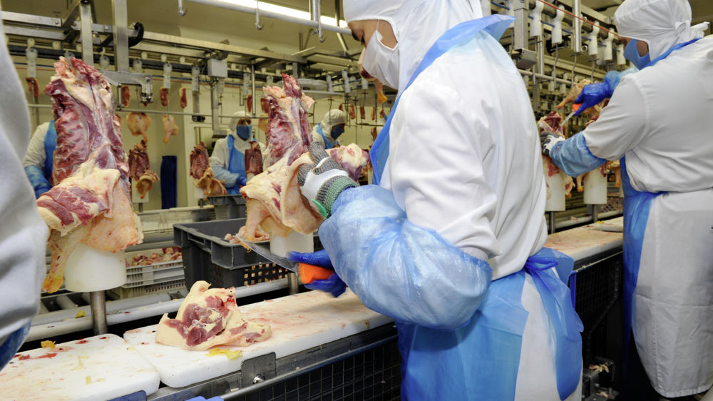 En avril 2023, les abattages de volailles augmentent de 1,2 % sur un an.