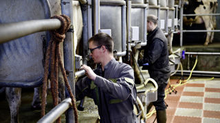 Les rapporteurs du deuxième groupe de travail de la PLOAA soulignent l’importance d’identifier et de mobiliser « de nouveaux viviers de futurs agriculteurs ». Les rapporteurs du deuxième groupe de travail de la PLOAA soulignent l’importance d’identifier et de mobiliser « de nouveaux viviers de futurs agriculteurs ».