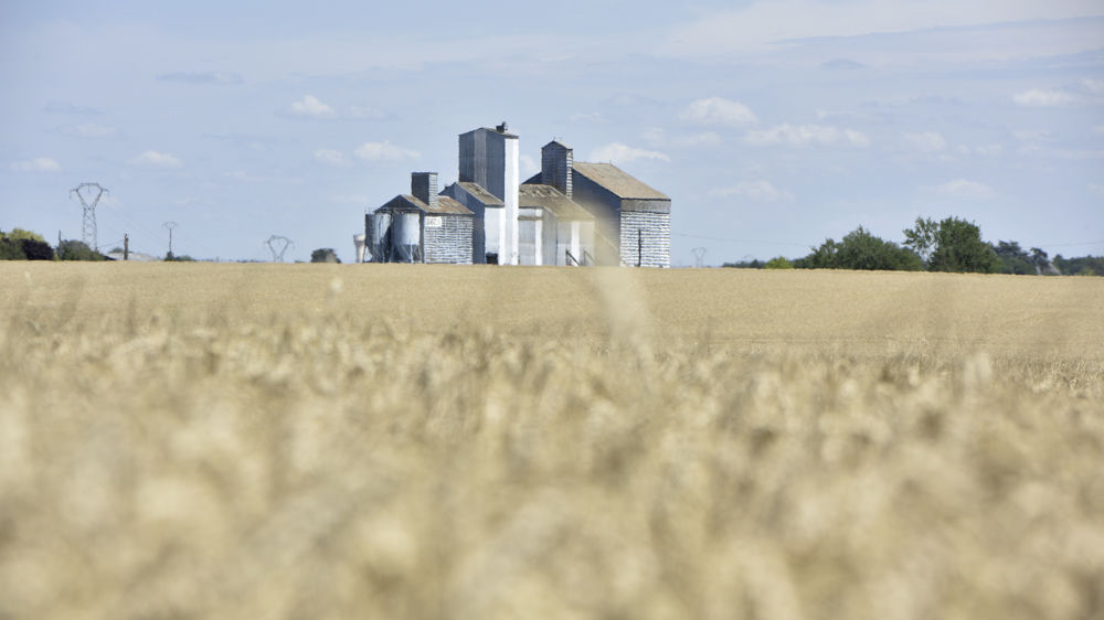 En adhérant à une coopérative, l’agriculteur s’engage.