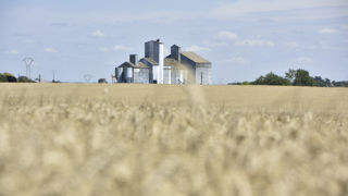 En adhérant à une coopérative, l’agriculteur s’engage. En adhérant à une coopérative, l’agriculteur s’engage.