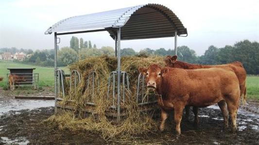 Limousine bilan fourrager