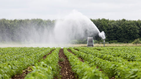 Un suivi de parcelles en Alsace a montré qu'il est préférable de ne pas dépasser 25-30 mm par tour d'eau. Un suivi de parcelles en Alsace a montré qu'il est préférable de ne pas dépasser 25-30 mm par tour d'eau.