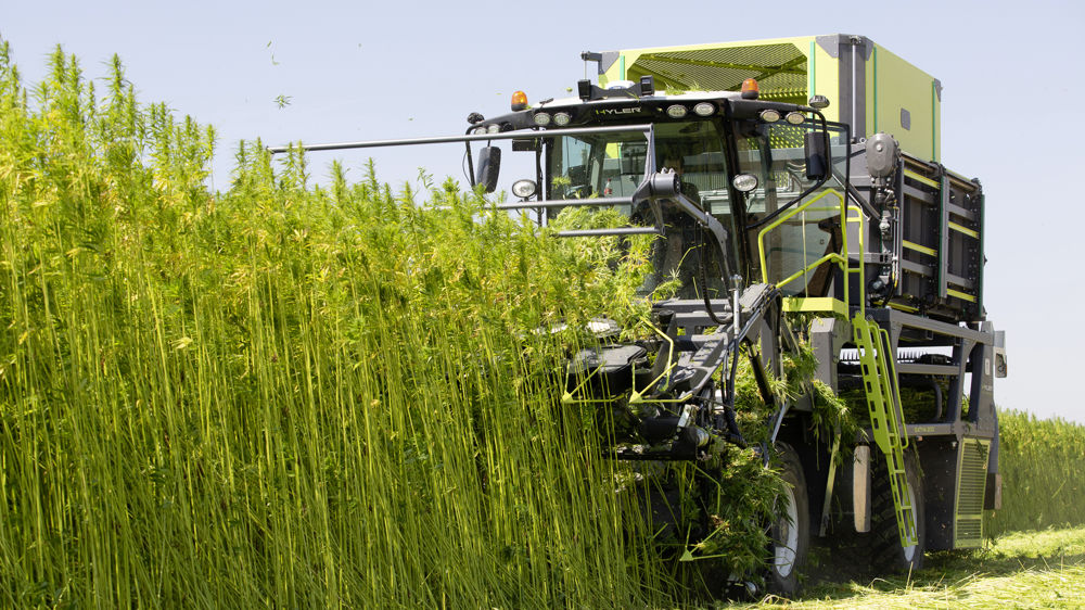 Le 22 juin 2023, « Bleu blanc lin » et « Bleu blanc chanvre » seront lancés.