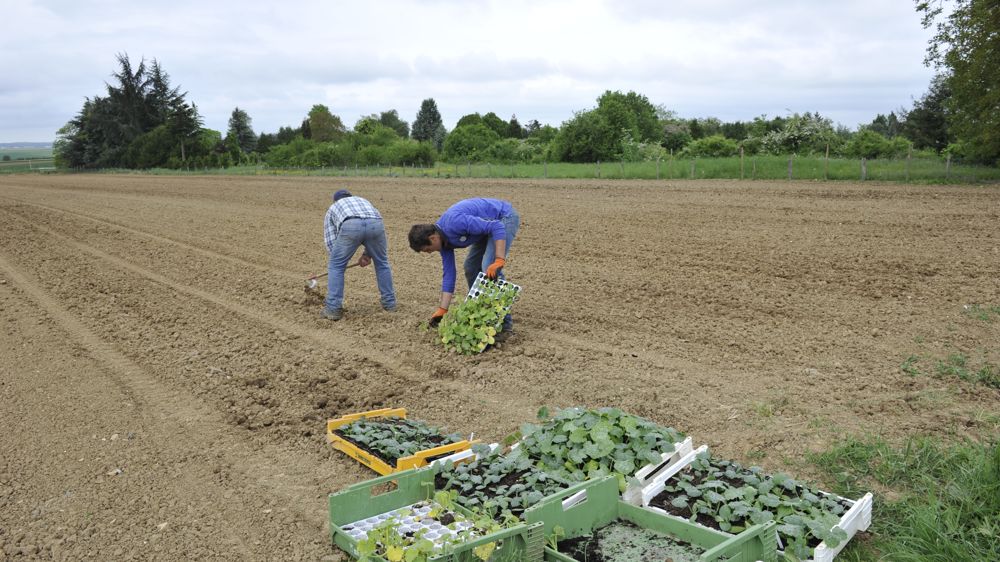 L'aide d'Action logement concerne tous les types d’hébergement, location, gîte, chambre d’hôte, camping, chambre chez l’habitant.