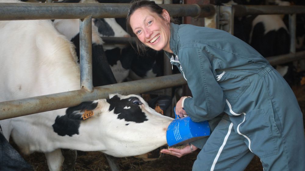 Le sans-faute de Mélanie Auvray à l’épreuve de manipulation des bovins a été particulièrement remarqué lors des Olympiades des salariés agricoles. Le sans-faute de Mélanie Auvray à l’épreuve de manipulation des bovins a été particulièrement remarqué lors des Olympiades des salariés agricoles.