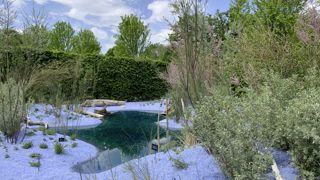 Le prix de la Création du Festival des jardins de Chaumont-sur-Loire a été attribué au jardin « Le Chant du sel » de l’équipe franco-américaine composée de Félix de Rosen, Eric Futerfas et Bruno Derozier. Un pépiniériste de l’Ile de Ré a participé à la réalisation de ce jardin.