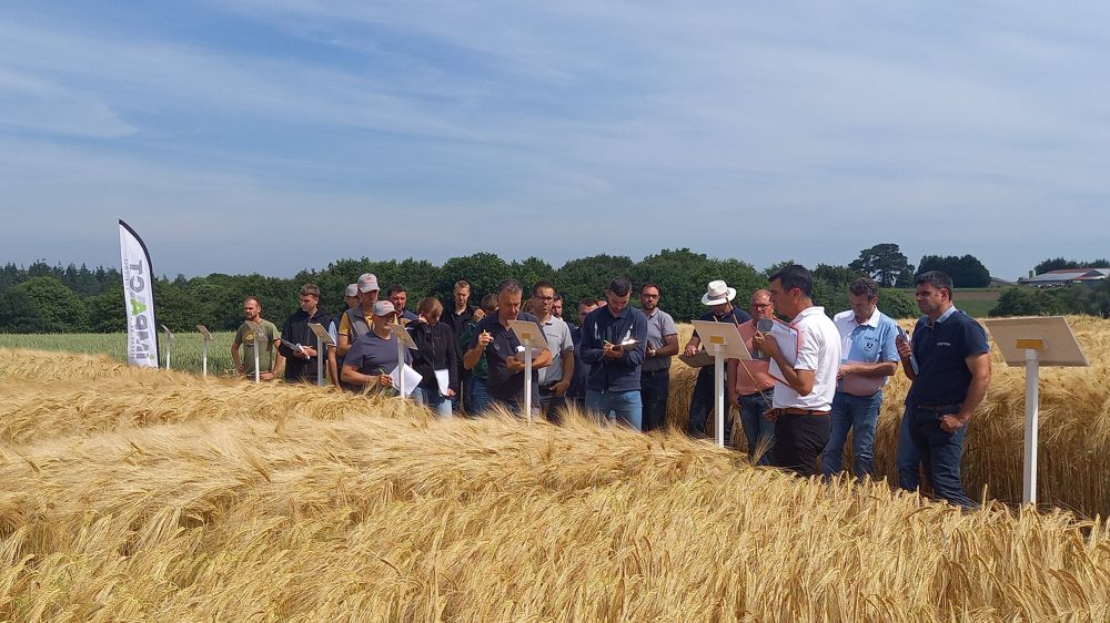 La plateforme Agro'Avenir du réseau Impaact dans le Morbihan a accueilli des TC des négoces de l'Ouest pendant deux jours en juin.