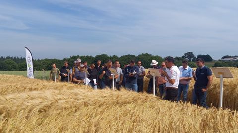 La plateforme Agro'Avenir du réseau Impaact dans le Morbihan a accueilli des TC des négoces de l'Ouest pendant deux jours en juin.