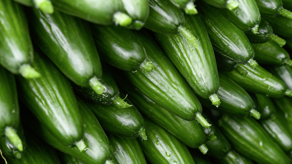 Les pluies et la fraîcheur n'ont pas stimulé la consommation de concombres français, note Agreste.