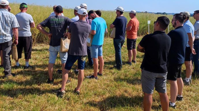 D'après les agriculteurs interrogés pour le compte de la Cal, l’accompagnement technique (comme ici lors des journées Damier Vert) ainsi que la proximité des OPA demeurent des attentes importantes.