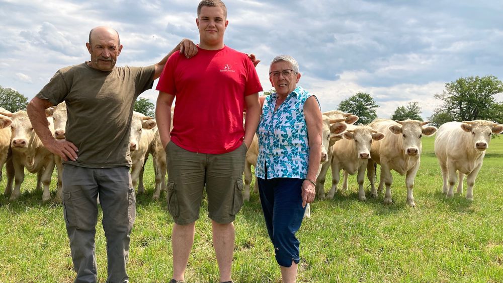 Tout comme ses grands-parents Daniel et Liliane, Mathias Mercier est très attaché à la race charolaise.