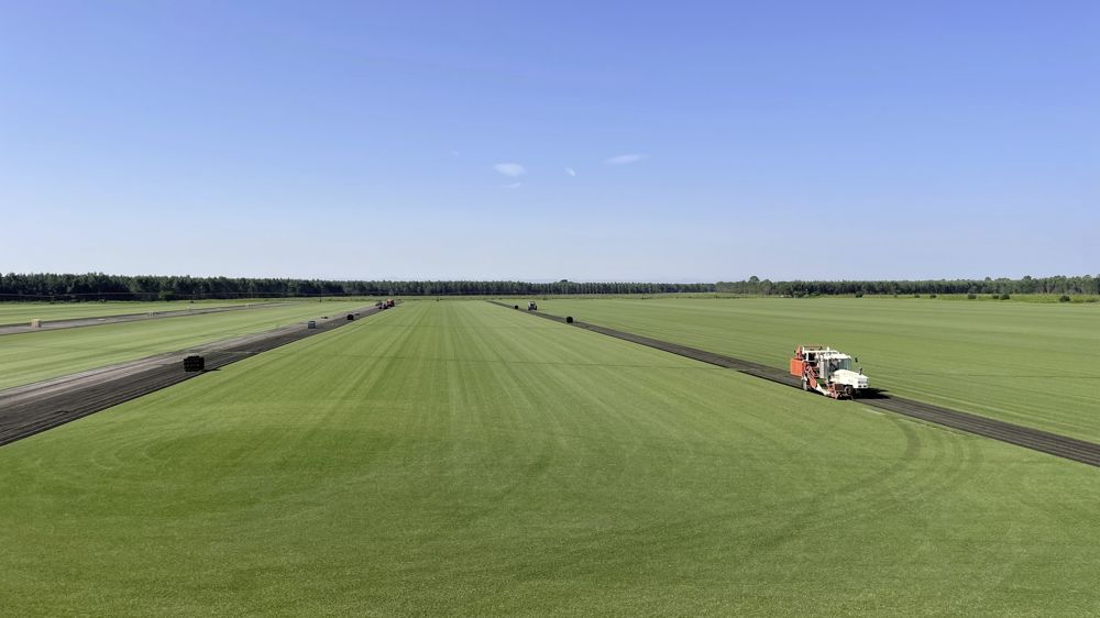 Ortie, gazon, pastel, aloe vera, igname,  cinq agriculteurs cultivent l'insolite.