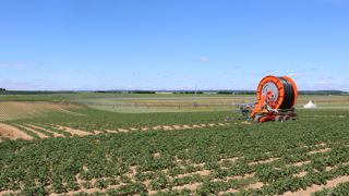 La préfète de l’Oise n’a pas retenu la pomme de terre féculière parmi les cultures pour lesquelles elle a accordé une dérogation d’irriguer. La préfète de l’Oise n’a pas retenu la pomme de terre féculière parmi les cultures pour lesquelles elle a accordé une dérogation d’irriguer.