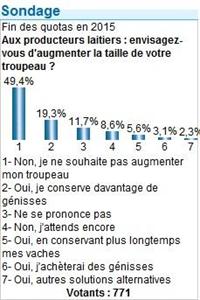 taille des troupeaux laitiers fin des quotas