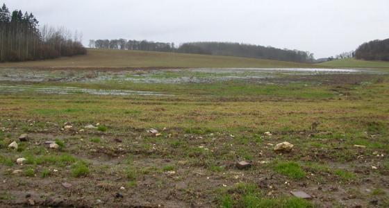 Inondations dans une prairie