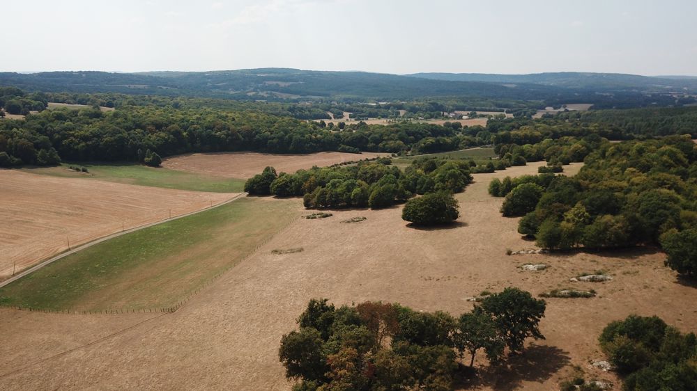 Selon l'observatoire de 2023 de l'agriculture du groupe BPCE, seulement un agriculteur sur deux pense investir dans les deux ans, contre deux sur trois en 2021.