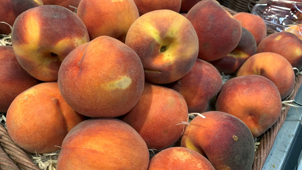 Légèrement en hausse, les dernières prévisions d'Agreste estiment la récolte de pêches à 231 000 tonnes en 2023, un chiffre similaire à l'année précédente.