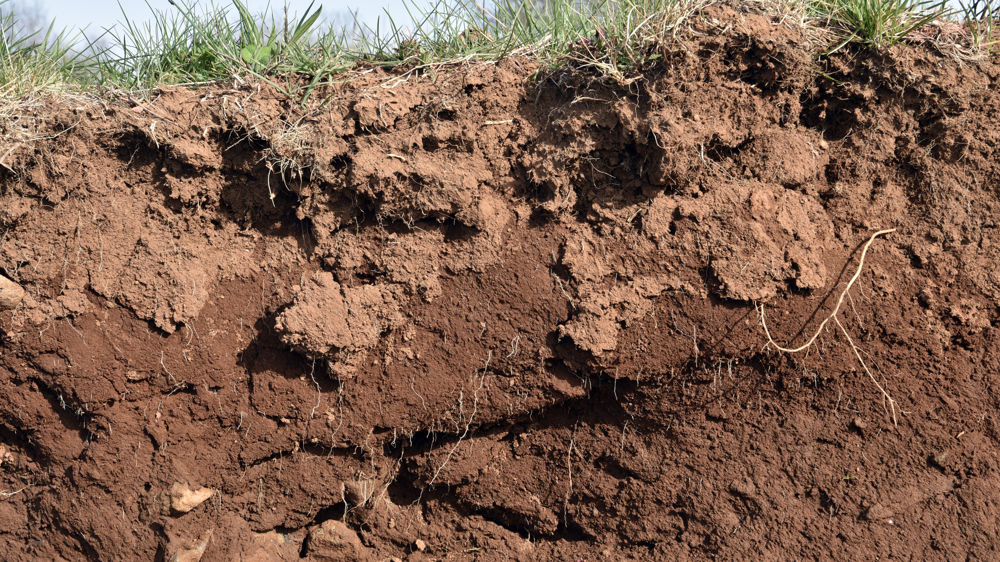 La Cour des comptes estime que l'Union européenne et ses pays membres ne protègent pas assez leurs sols.