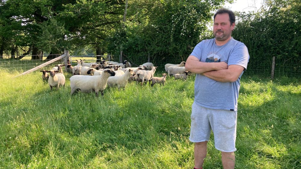 Avec ses 320 brebis hampshires, Nicolas Hamm compte parmi les six sélectionneurs de cette race anglaise en France.