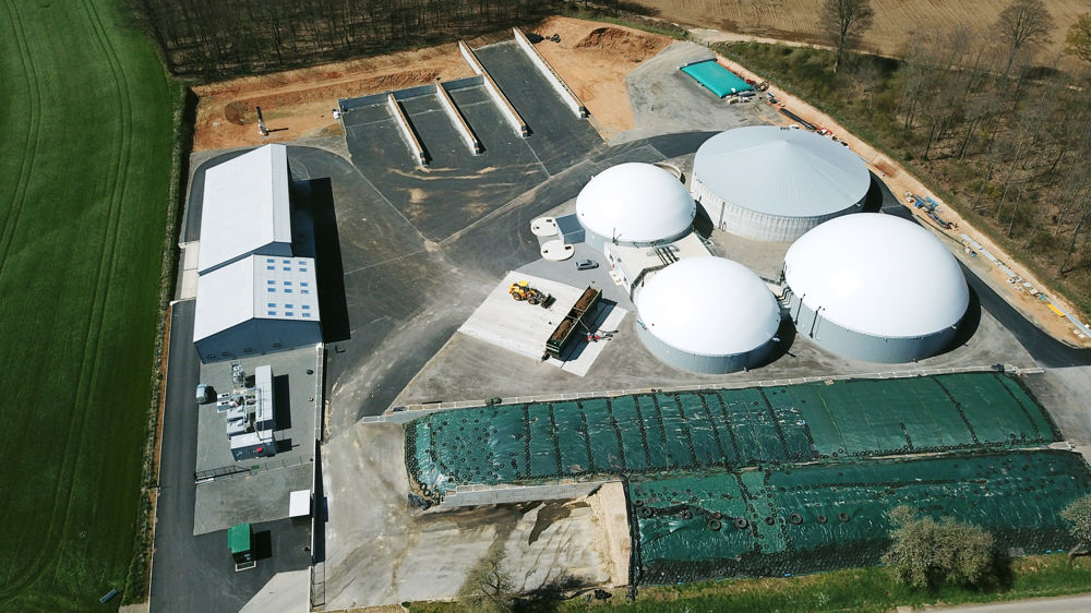 Le tribunal de Pau a considéré que les mesures mises en œuvre par BioBéarn étaient de nature à assurer le maintien des populations d’espèces concernées dans leur aire de répartition naturelle (photo d'illustration).