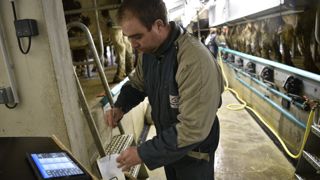 Le nombre de lactations qualitifées diminue, ainsi que la production (–9 kg par vache). Cependant, les taux sont stables et la situation cellulaire continue de s'améliorer. Le nombre de lactations qualitifées diminue, ainsi que la production (–9 kg par vache). Cependant, les taux sont stables et la situation cellulaire continue de s'améliorer.