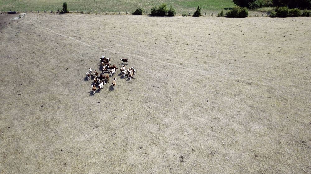 L'aide est principalement destinée aux agriculteurs victimes de pertes économiques liées aux perturbations du marché ou aux dommages causés par les événements climatiques récents.