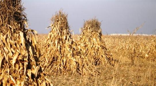 La proposition de Stéphane Le Foll de majorer les aides directes des premiers hectares est bien reçue en Bulgarie.