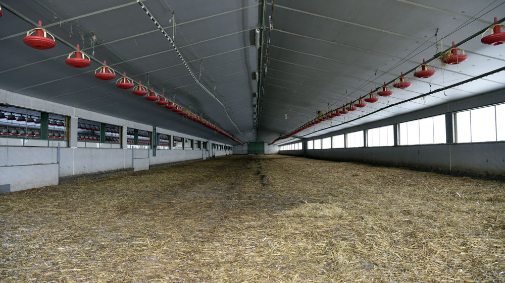 Faisant suite aux récentes annonces du gouvernement pour renforcer les moyens de lutte contre la grippe aviaire, les éleveurs restent « dans l’attente de précisions et d’actes concrets ».