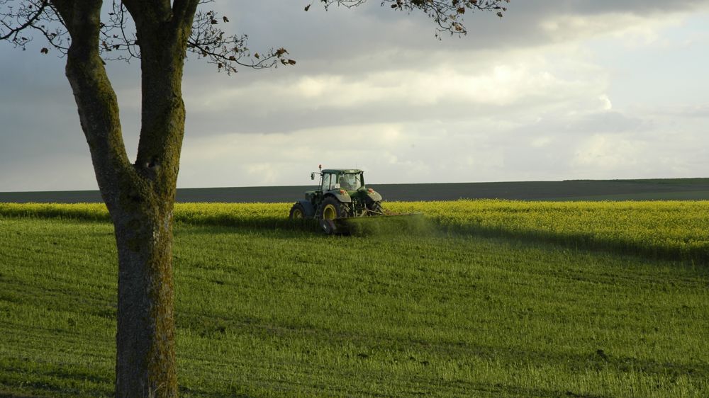 A titre dérogatoire en 2023, les jachères ont pu être mises en culture (sauf maïs et soja) et déclarée sur Telepac comme « jachère Ukraine » pour la BCAE 8.