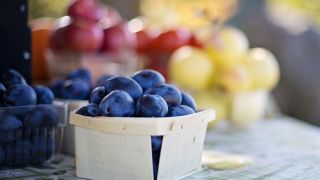 Dans le Sud-Ouest, la récolte des prunes a commencé et s'annonce prometteuse, après deux années marquées par des conditions climatiques difficiles et des rendements faibles. Dans le Sud-Ouest, la récolte des prunes a commencé et s'annonce prometteuse, après deux années marquées par des conditions climatiques difficiles et des rendements faibles.