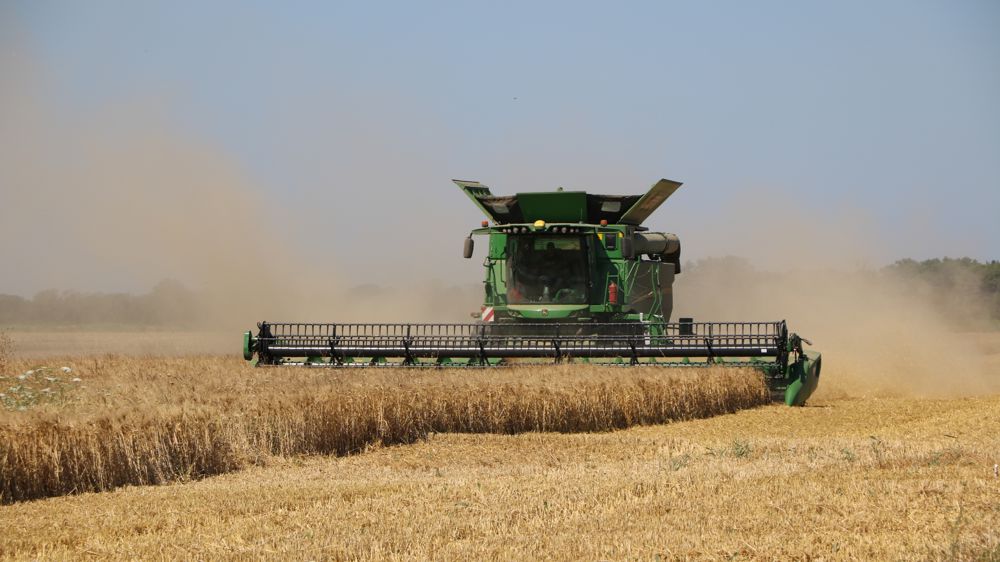 Les prix du blé ont très rapidement réagi après la nouvelle attaque russe sur une zone portuaire du Danube, dans la nuit du 23 au 24 juillet 2023.